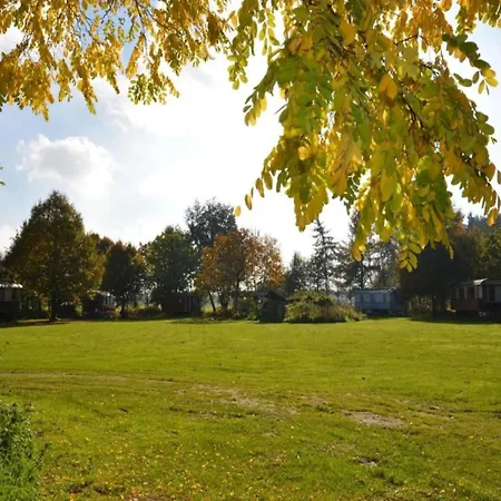 Lakefront W Terrace Chalet Well (Limburg)