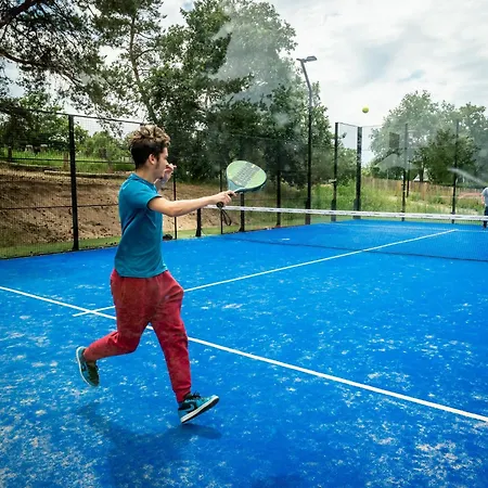 Lakefront W Terrace * Well (Limburg)