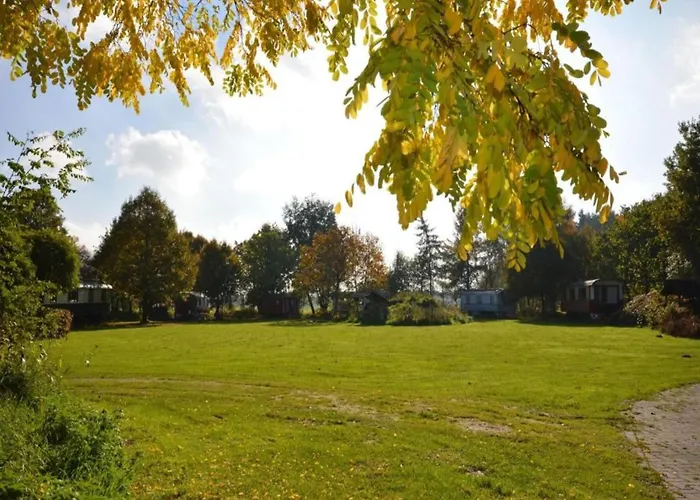 Lakefront W Terrace Chalet Well (Limburg)