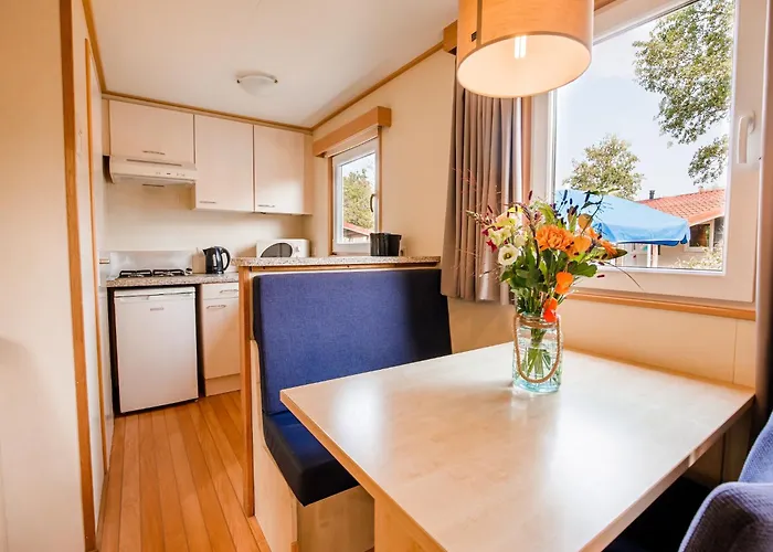 Lakefront W Terrace Chalet Well (Limburg)